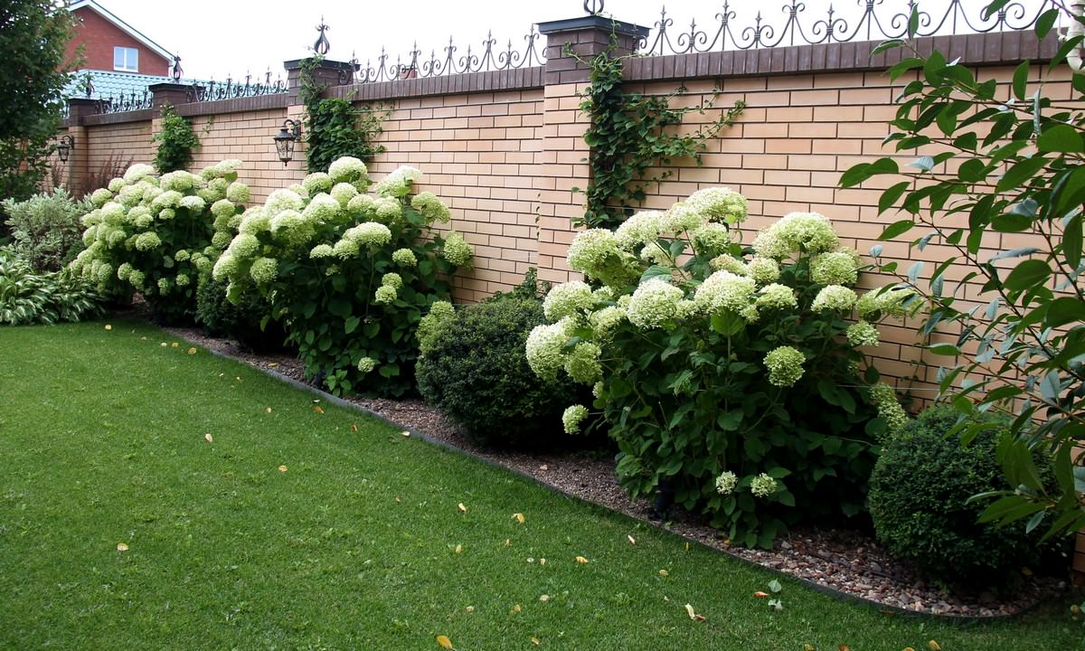 Сад Семьи К.