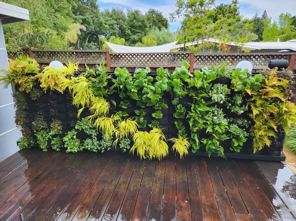 Vertical Garden Wall