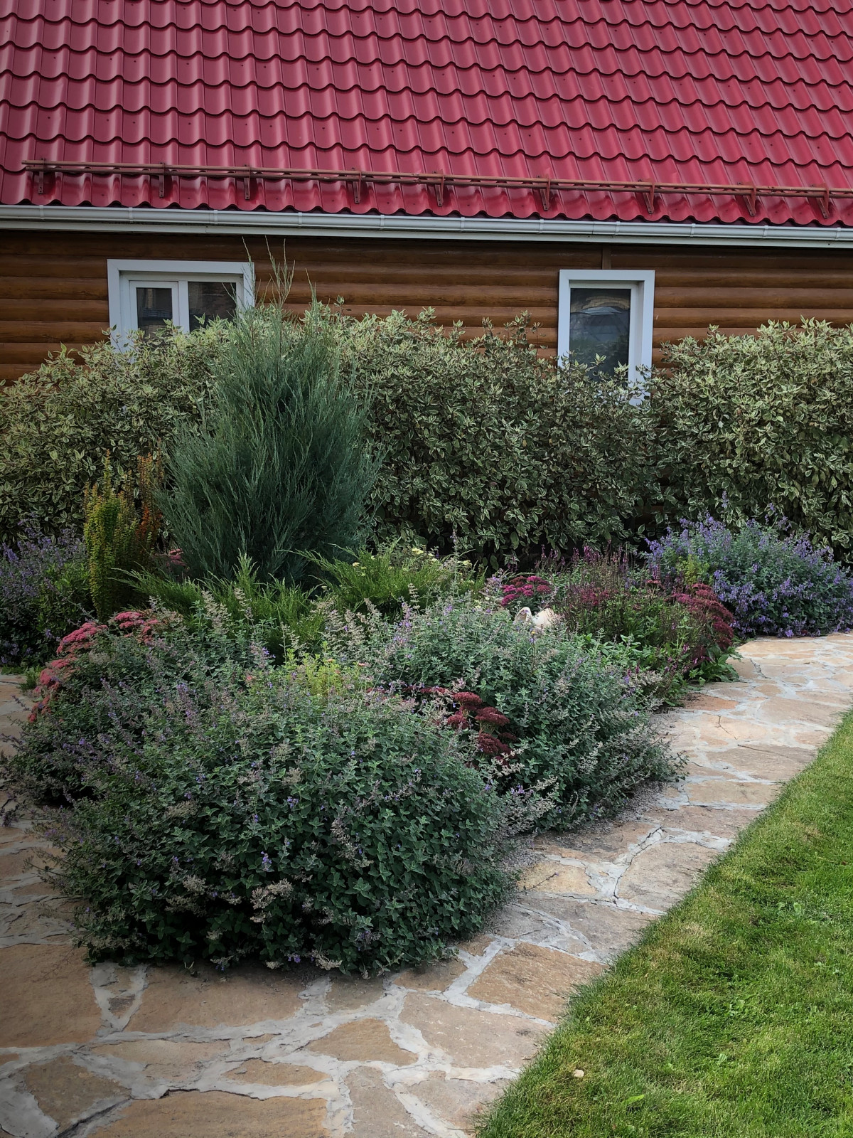 Растительные  композиции в мощении