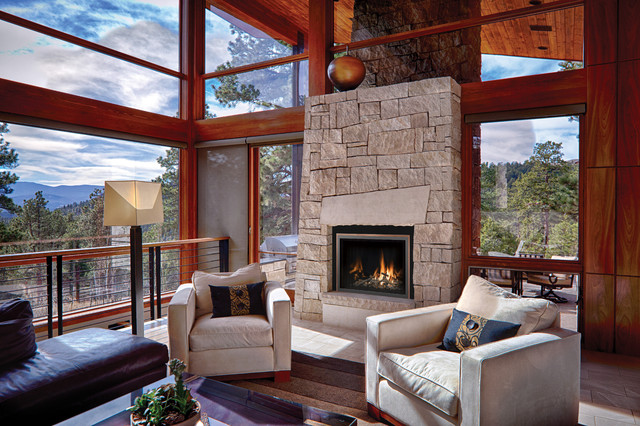 Indoor Fireplaces contemporary-living-room