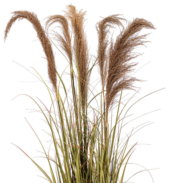 Vickerman 55