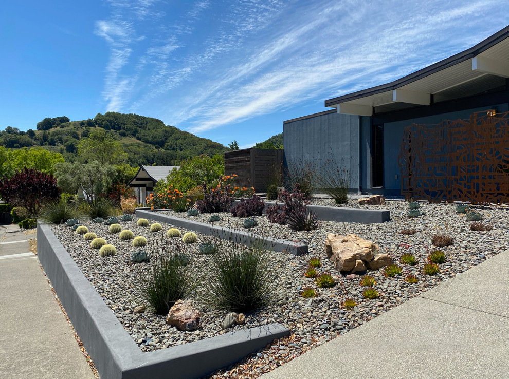 Photo of a large and desert look midcentury front yard full sun xeriscape for fall in San Francisco with mulch.