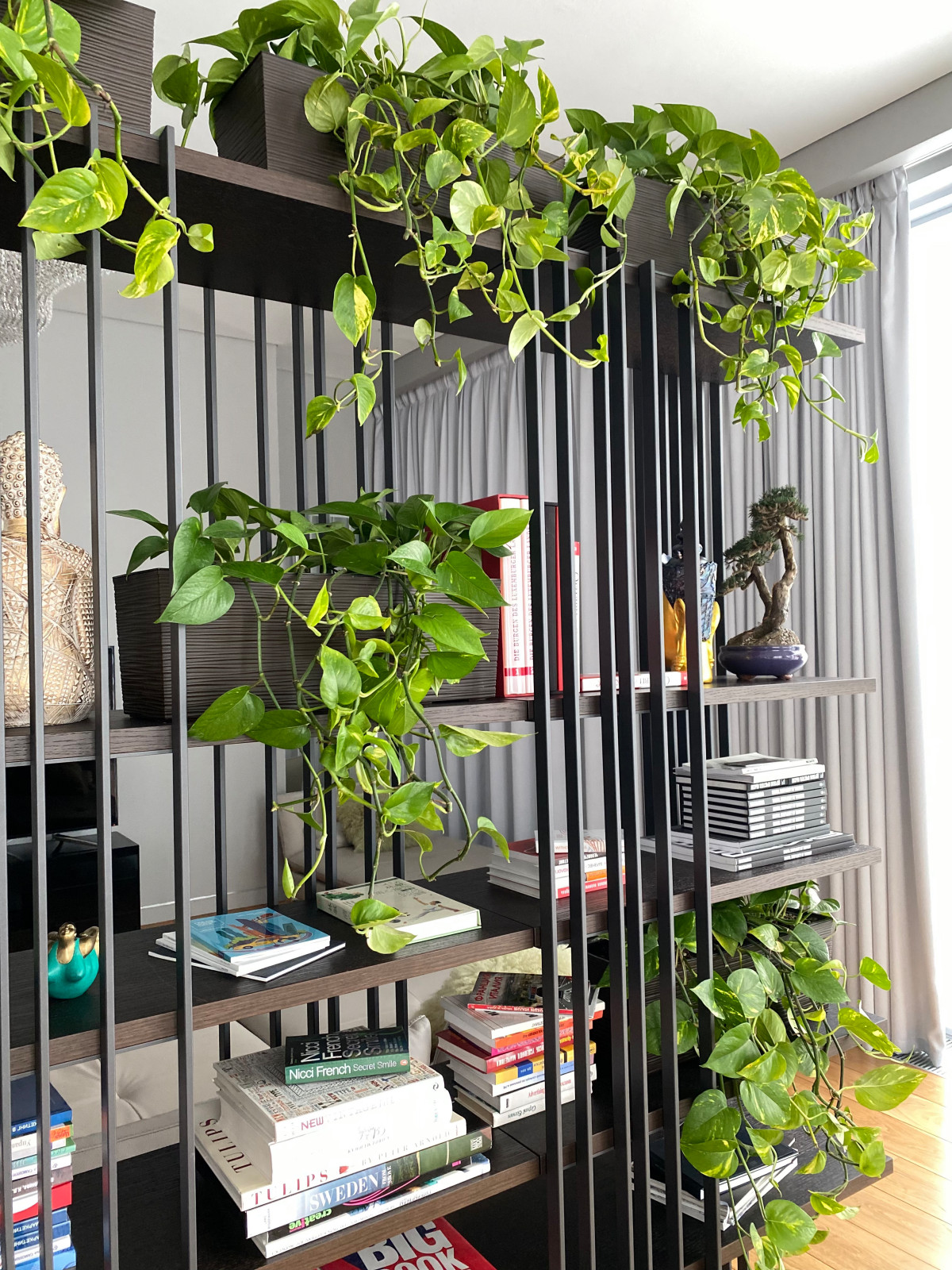 Озеленение гостиной