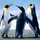 heather_hines27