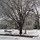 holly_krogh