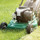 Kevin Lawn Care