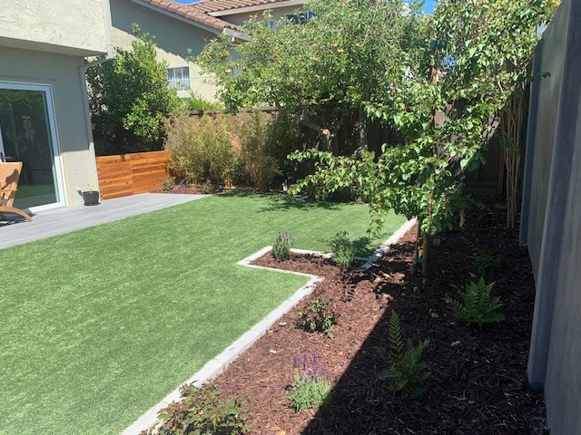 Backyard Remodel in Union City