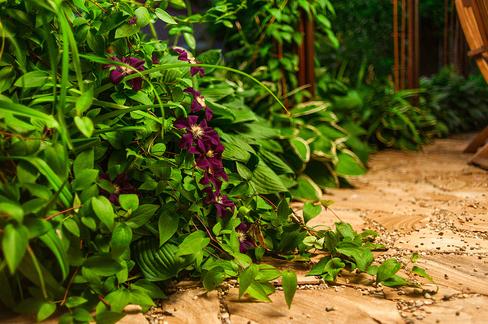 Романтический сад