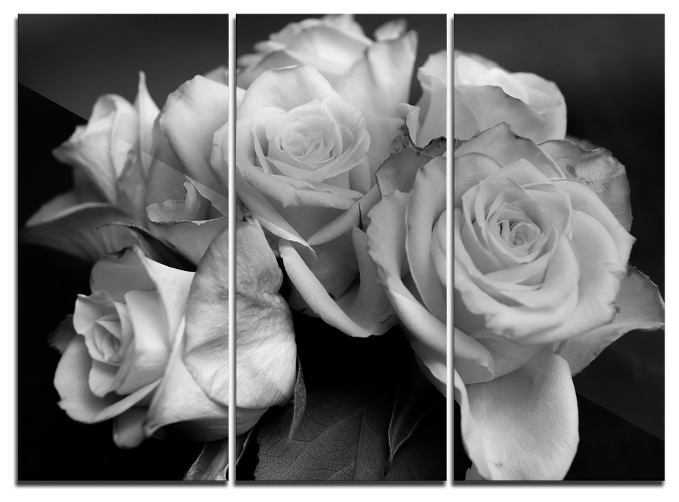 "Bunch of Roses Black and White" Metal Wall Art, 3 Panels, 36"x28", 36