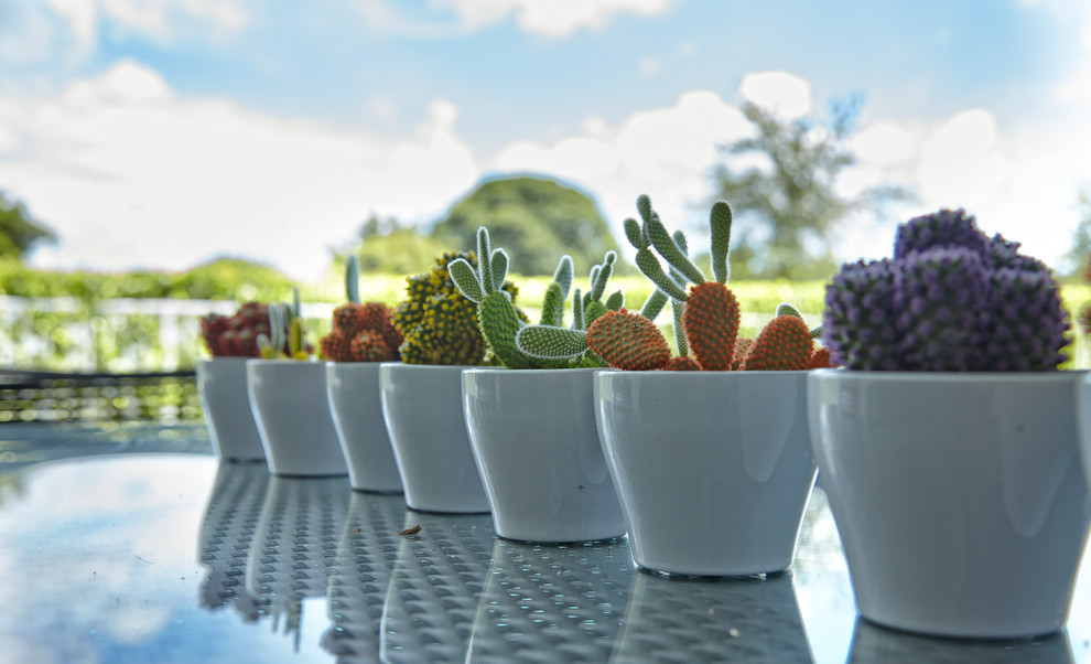 Patio vertical garden - large contemporary courtyard patio vertical garden idea in Miami with decking