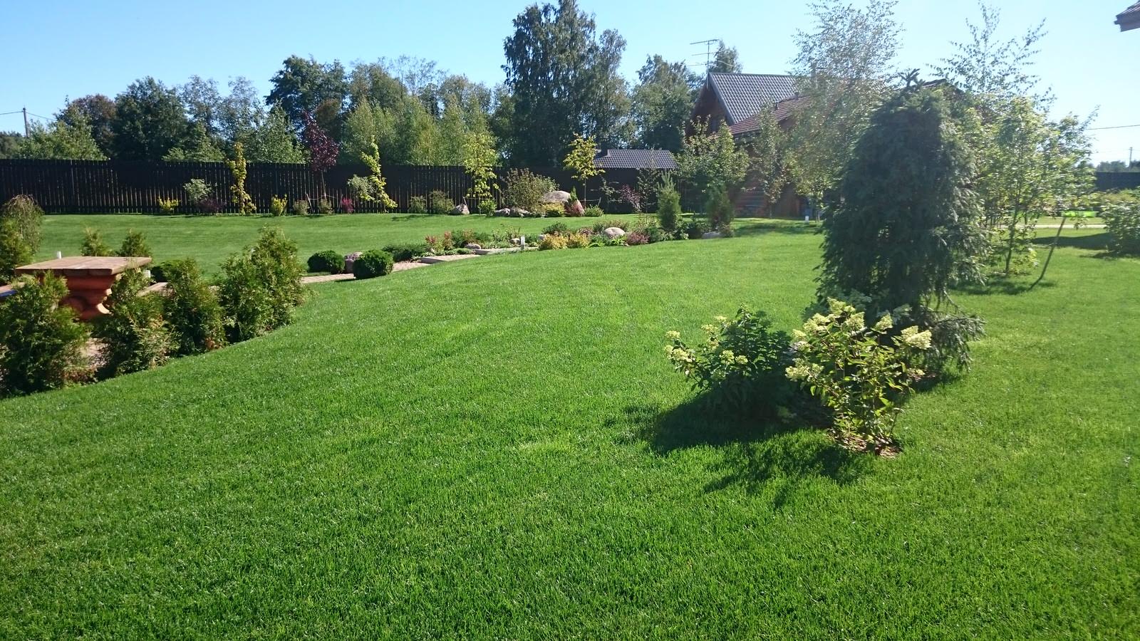 Ландшафт Озерное