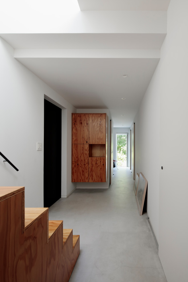 Diseño de hall pequeño con paredes blancas, suelo de cemento, puerta simple, puerta negra y suelo gris