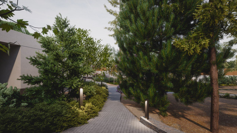 Лесная дорожка