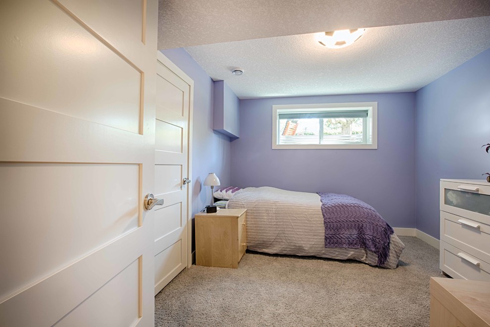 Inspiration for a large transitional look-out basement in Calgary with purple walls, carpet and no fireplace.