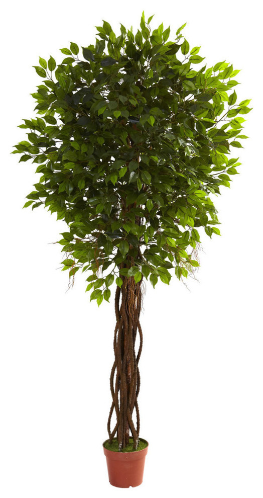 7.5' Ficus Tree, UV Resistant, Indoor and Outdoor