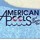 American Pools and Spas