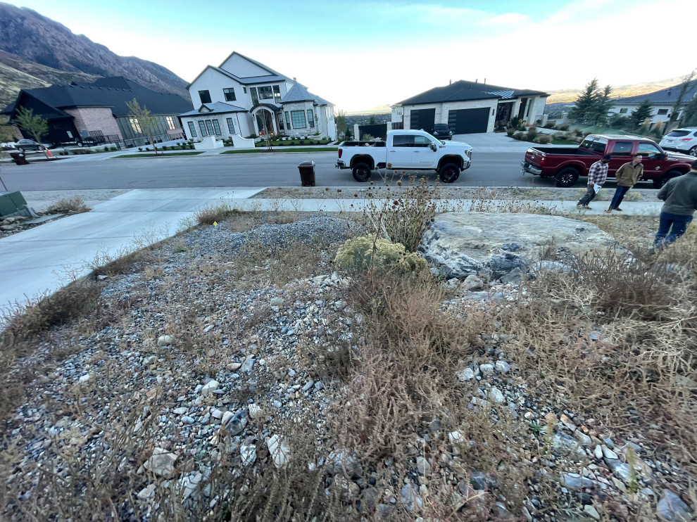 Alpine Landscape Build