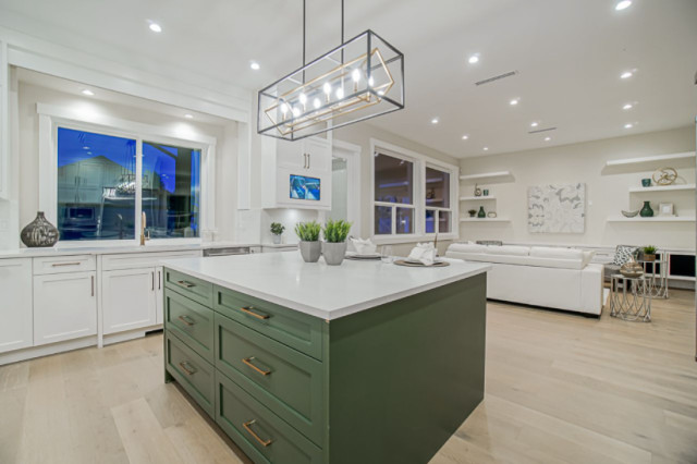 Surrey Project trendy-koekken