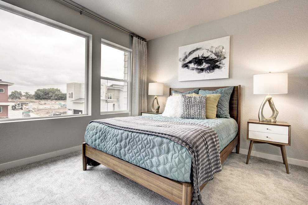This is an example of a contemporary guest bedroom in Denver.