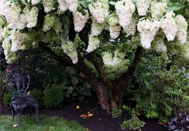 Flora & Fauna garden