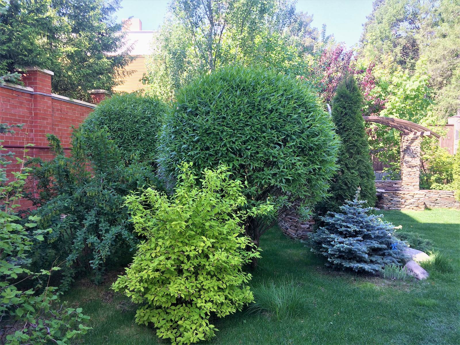 В Центре мегаполиса