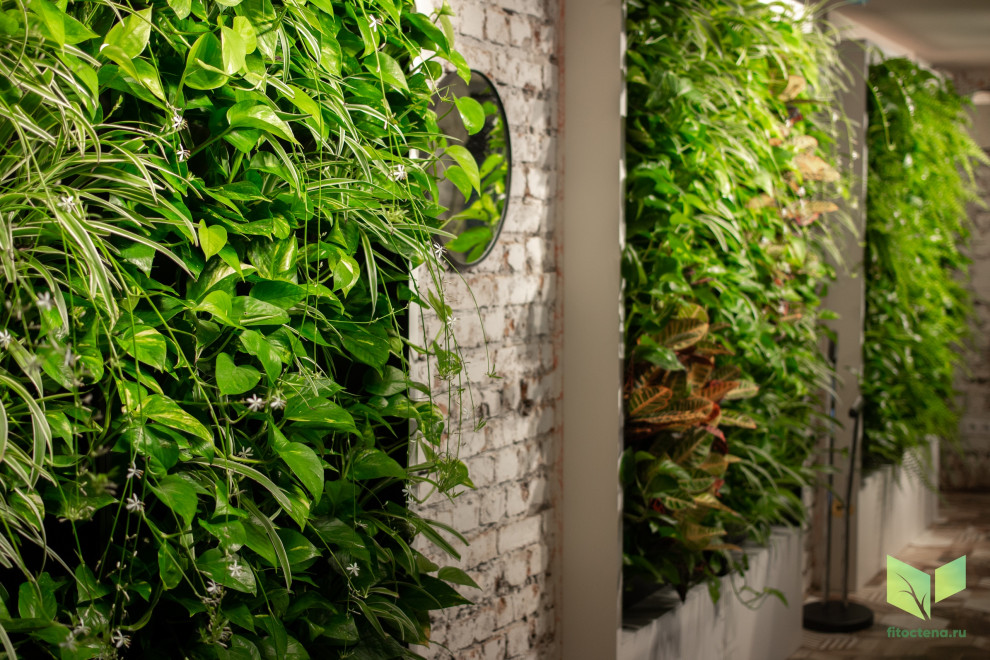 Вертикальное озеленение: рестораны и общественные места