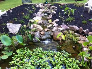  , GA - Traditional - Garden - Atlanta - by Universal Aquatics