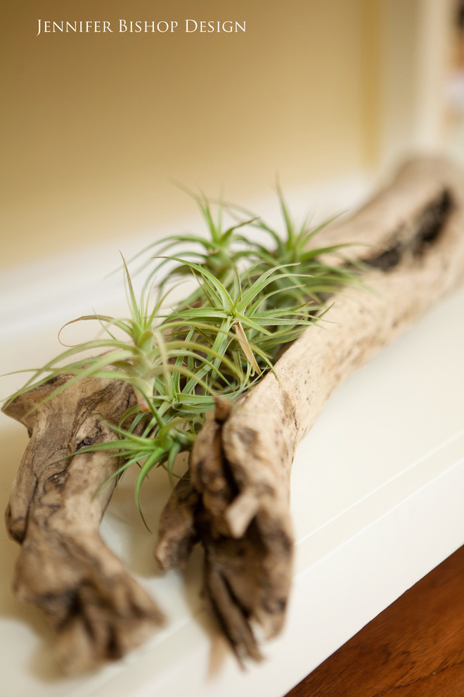 Entryway - eclectic entryway idea in San Francisco