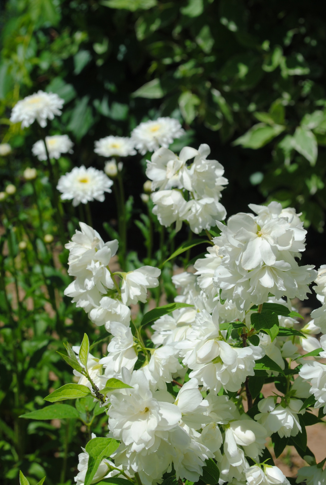 КП Зеленый мыс