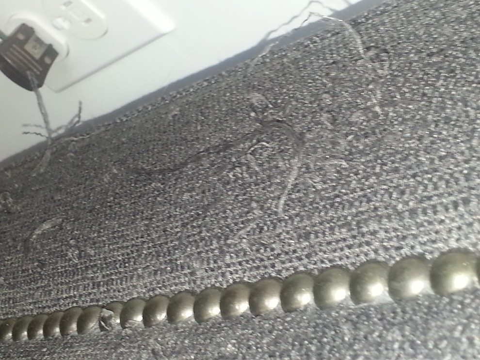 Cat tore up couch. Any way to repair? : r/Frugal
