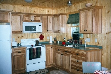 Kitchen - rustic kitchen idea
