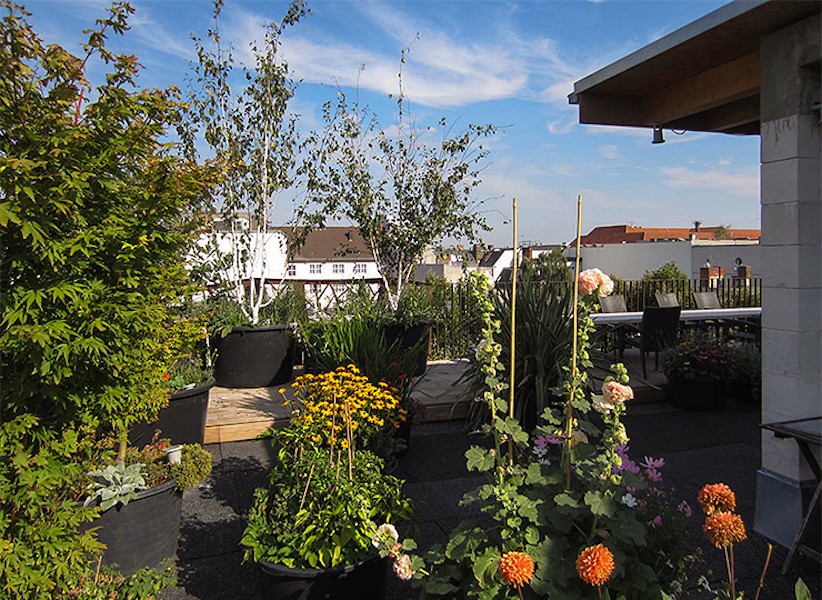 Moderne Terrasse in Berlin