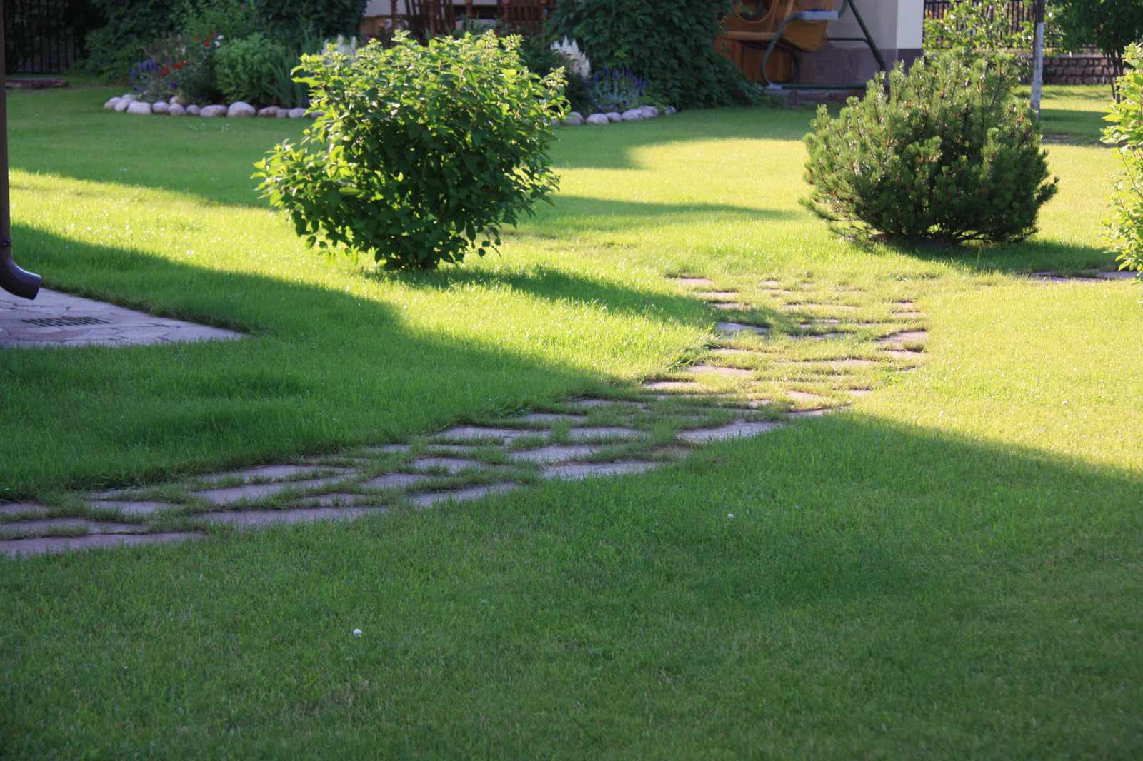 Дорожка из натурального камня (розовый плитняк) в траве