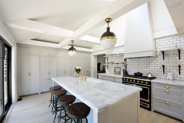 Whole Home Renovation/Third Avenue transitional-kitchen