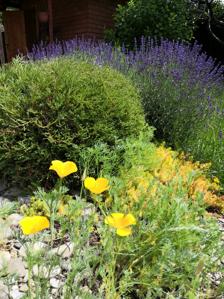 Маленький внутренний дворик