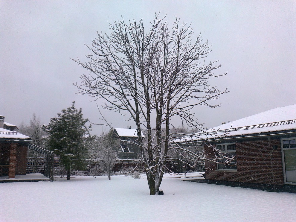 Современный сад в КП "Променад"