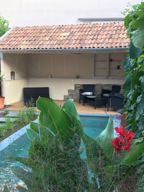 Naturpools moderno-giardino