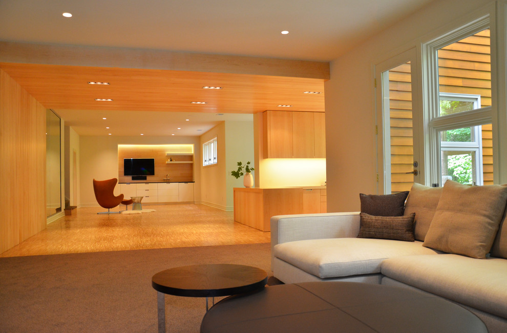 Living room - contemporary living room idea in Milwaukee