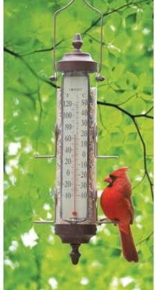 Bird Feeder Thermometer 1 Lb Capacity Bronze Patina