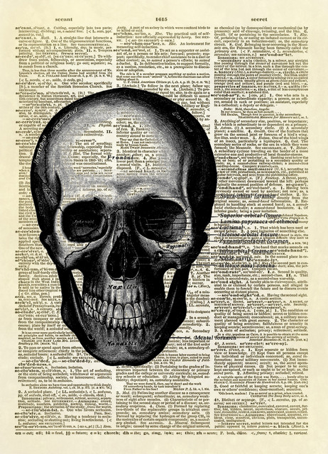 Gray's Anatomy Human Skull Diagram Dictionary Art Print, Black