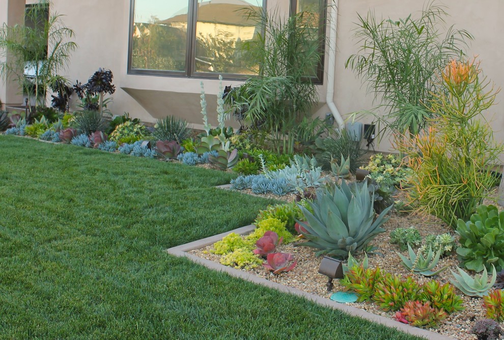 Design ideas for a mid-sized transitional front yard xeriscape in Orange County.