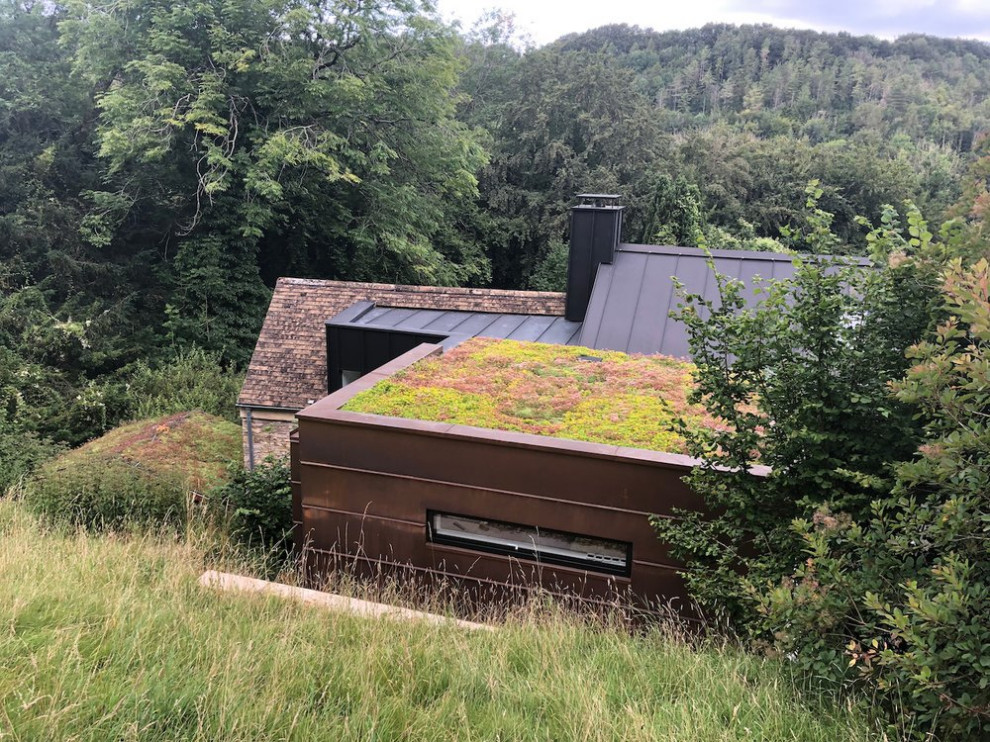 Beech Cottage Exterior, Green roof, Copper, Black Zinc Contemporary