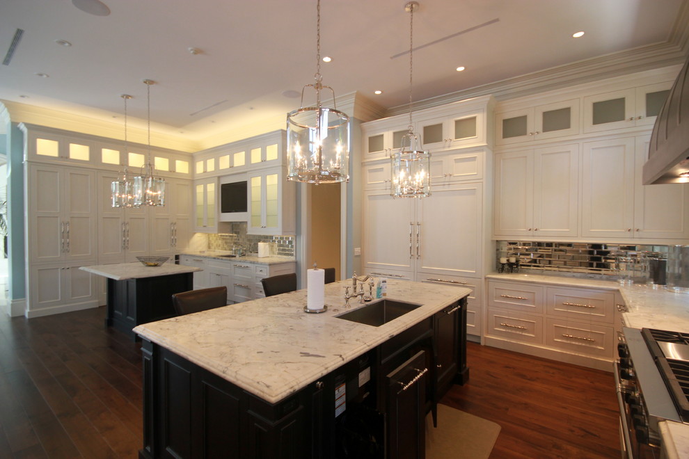 Kitchen - transitional kitchen idea in Miami