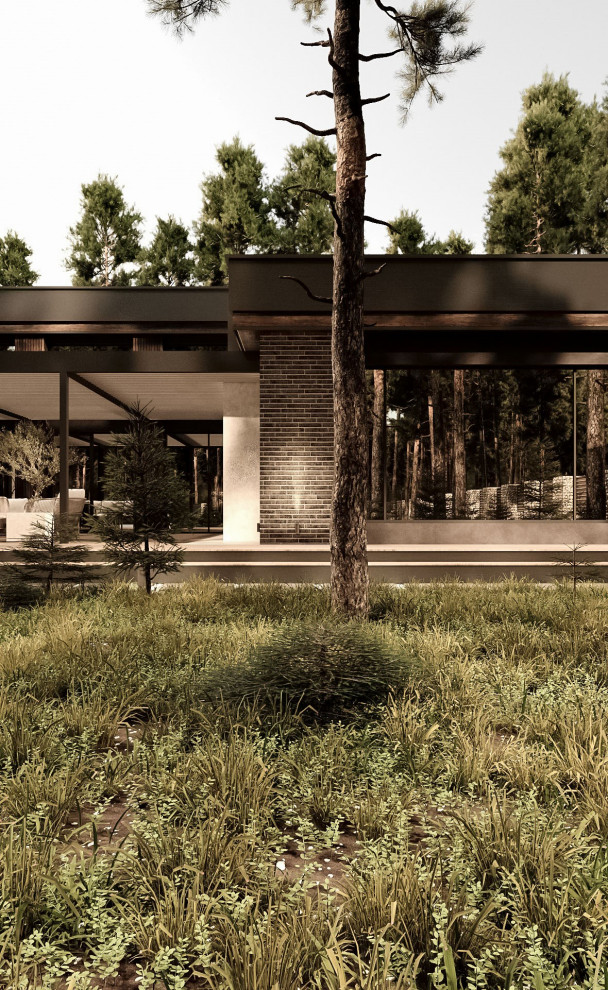 Фасады частного дома в Санкт-Петербурге