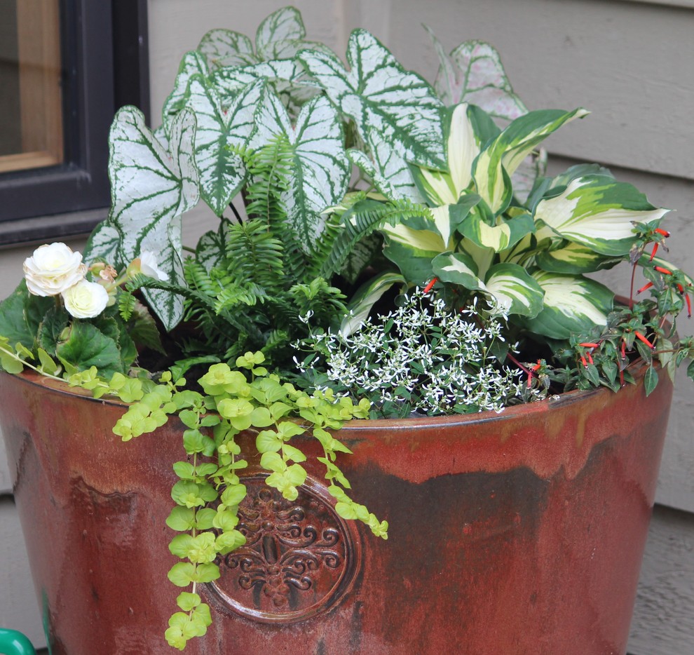 Inspiration for a shaded garden for summer in Minneapolis with a container garden.