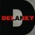 Delaney Commercial Services