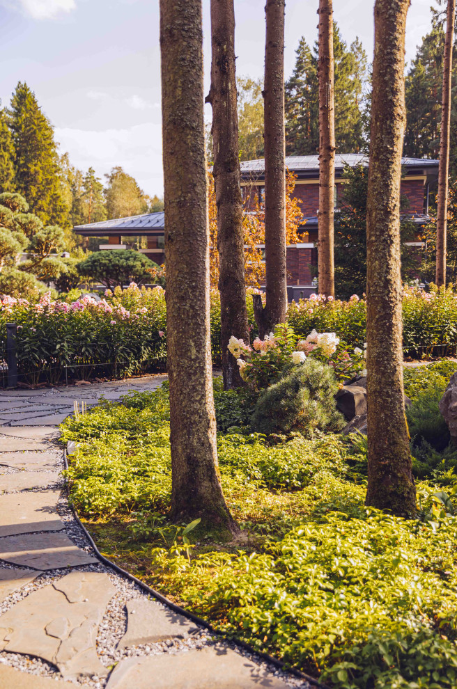 Архитектурное Решение в Пейзажном Стиле