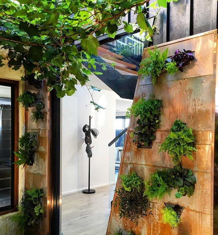 Photo of a large industrial courtyard garden in Perth with a vertical garden.