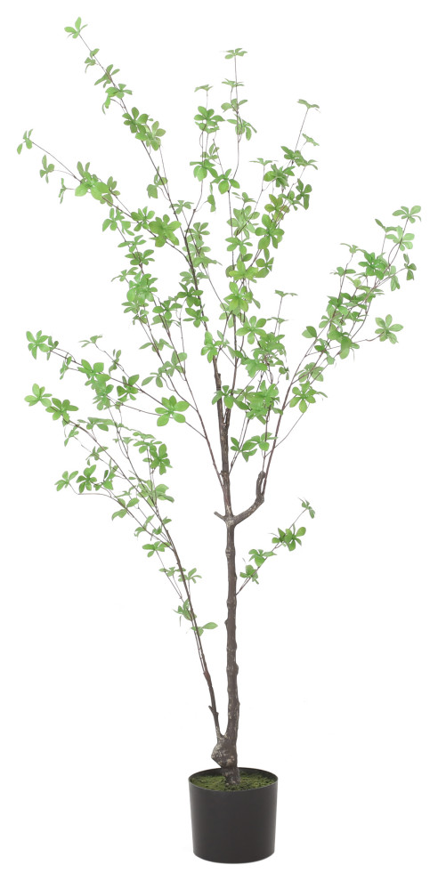 Monadnock Artificial Enkianthus Tree, Green, 31.5wx31.5dx51.1h