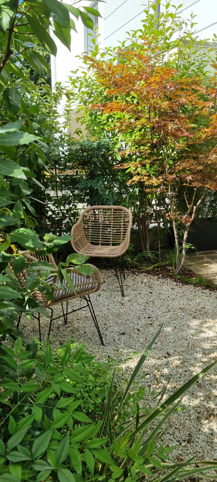 Giardinetto con siepe mista